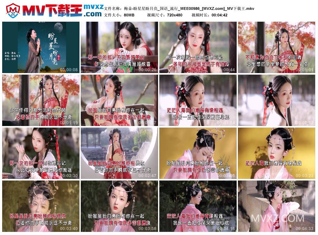 梅朵-盼星星盼月亮_国语_流行_MEE00986